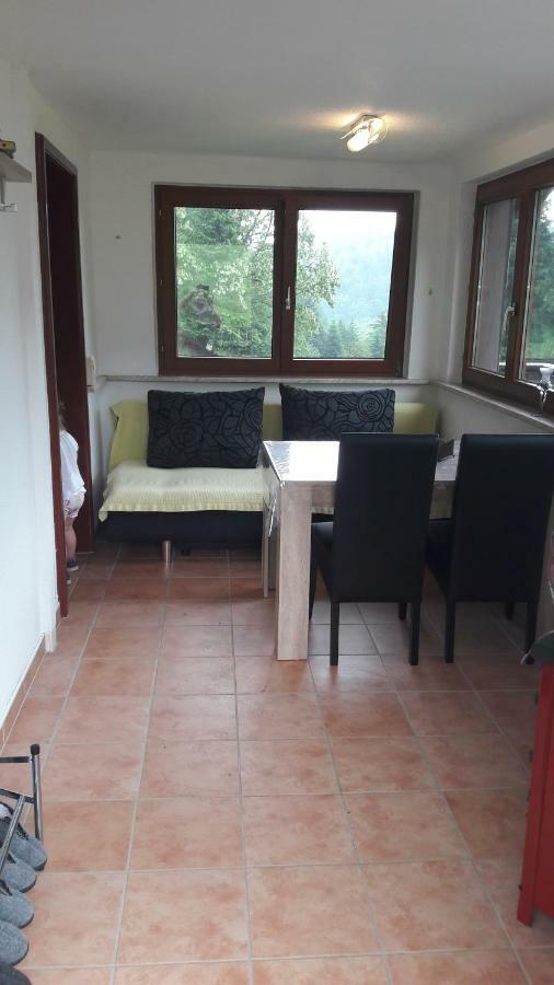 Ferienhaus Moosbachtal Thueringer Wald Bei Oberhof Rotterode Esterno foto